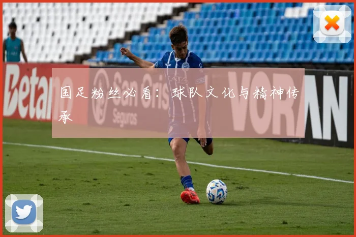 国足粉丝必看：球队文化与精神传承
