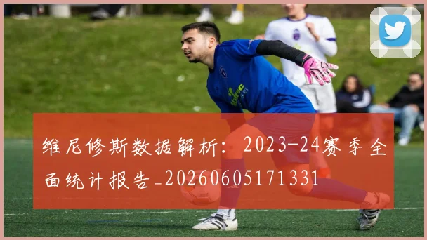 维尼修斯数据解析：2023-24赛季全面统计报告_20260605171331